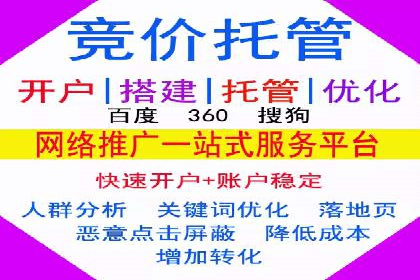 竞价推广实战：案例分析行业领军企业的成功之道